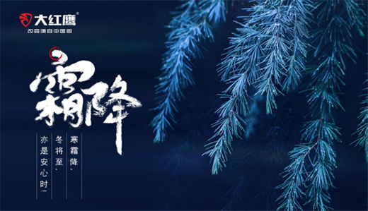 tʳ ؝һ