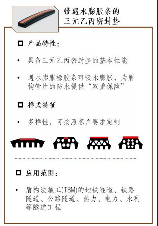 СaƷǻۡ