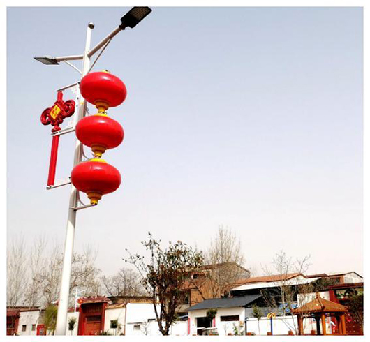 我為群眾辦實事：小小路燈照亮了鄉(xiāng)村幸福路